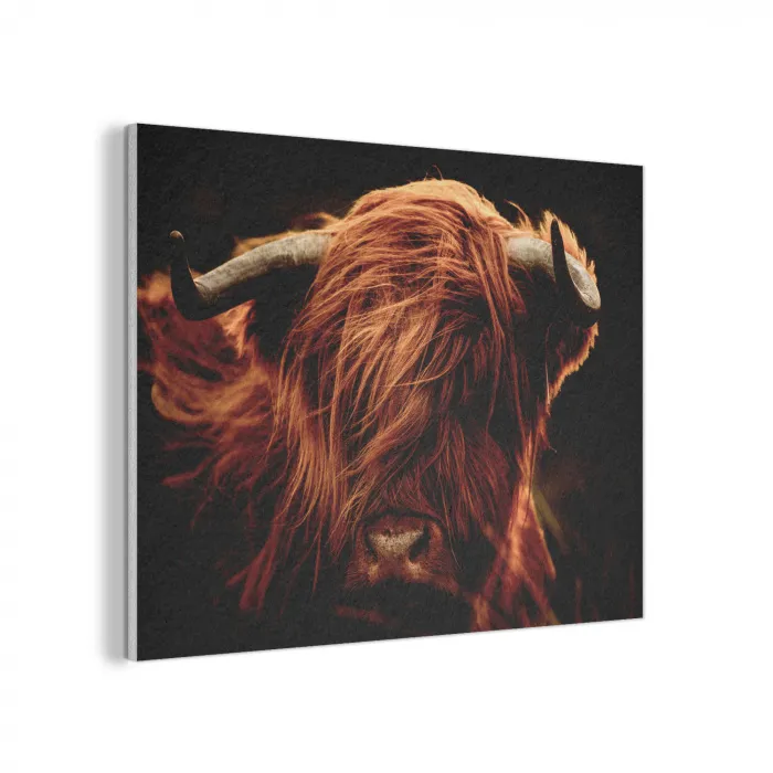 Schotse hooglander - Koe - Hoorns - Portret - Dieren PET vilt klein -3d