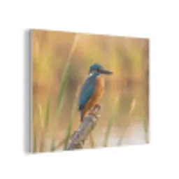 IJsvogel - Tak - Water - Kleurrijk - Levendig PET vilt klein -3d