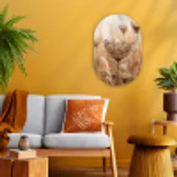 Schermbloem - Droogbloem - Winter - Beige - Minimalistisch Wandcirkel Ovaal Forex klein -sfeer4