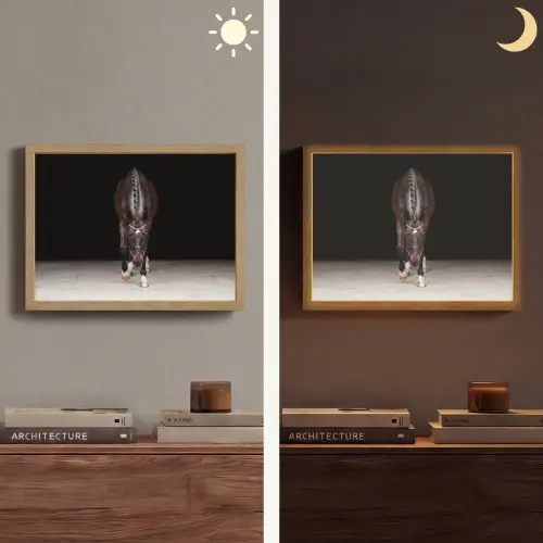 Paard - Modern - Portret Light Box met batterij (Wandlamp) middel -sfeer3