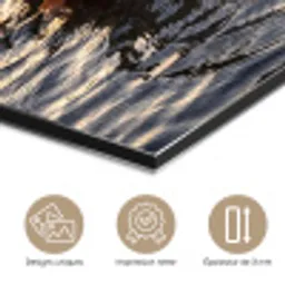 Eenden - Water - Natuur aluminium wit klein -closeup_FR