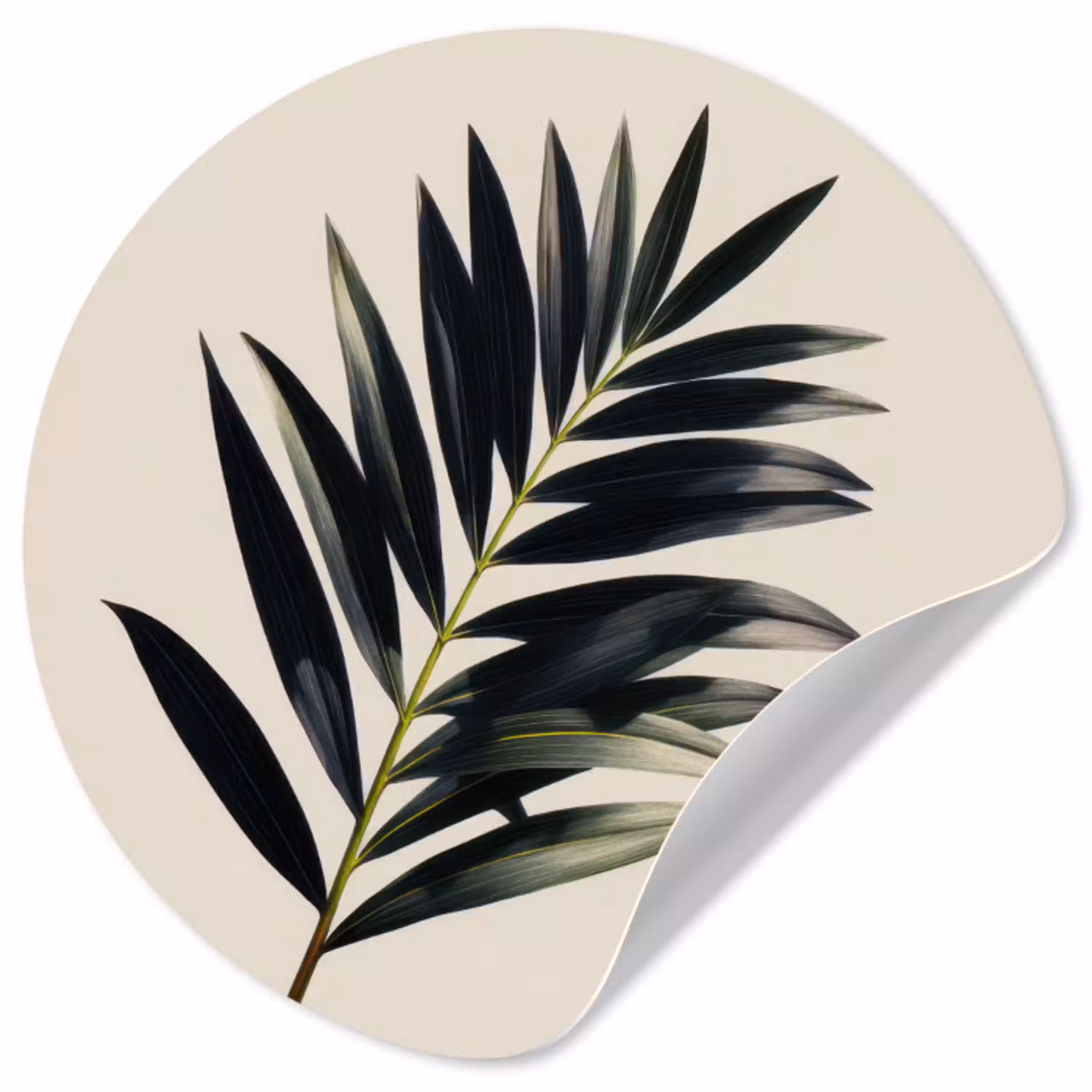 Palmblad - Subtiel - Groen - beige Wandcirkel behangsticker klein -3d
