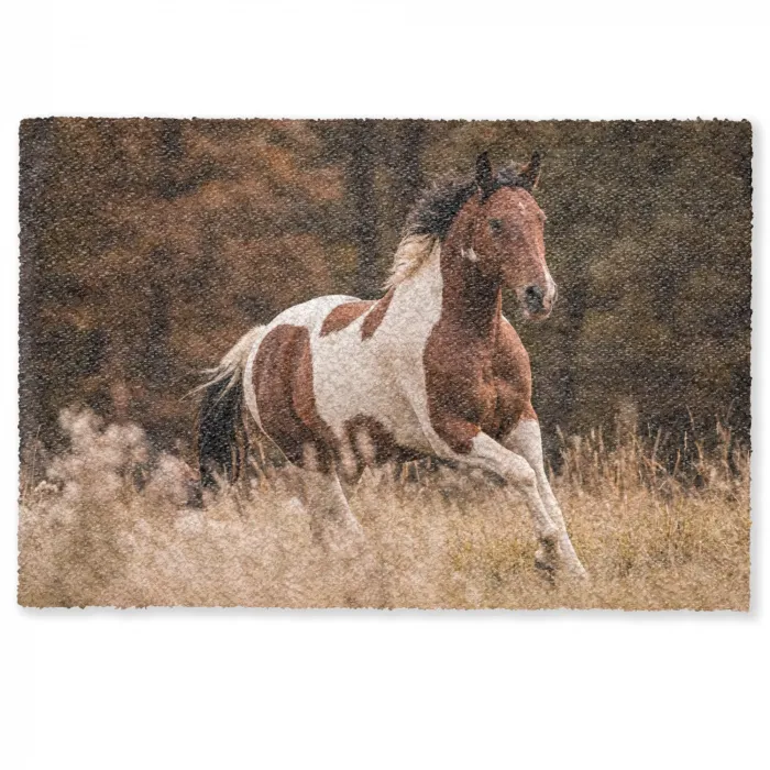 Paard - Bruin - Gras Deurmat klein -zkaufland3d