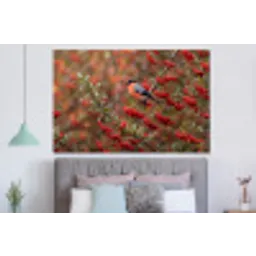 Goudvink - Bessen - Herfst - Natuur - Kleurrijk forex 5mm xxl -slaapkamer