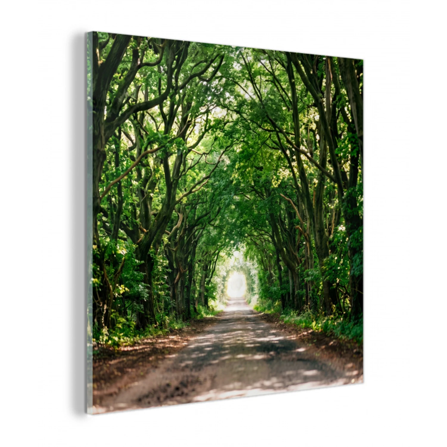 Weg - Bomen - Natuur - Groen plexiglas 5mm klein -z3d