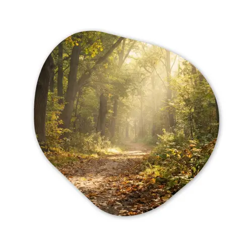 Zonlicht - Bospad - Bomen Wandcirkel Organisch Aluminium middel -3d