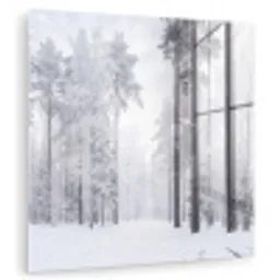 Bos - Sneeuw - Pad - Winter - Stilte plexiglas 5mm klein -zzzproduct_nieuw