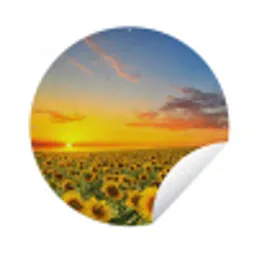Bloemen - Zonnebloem - Zonsondergang - Nacht - Oranje Wandcirkel tuinposter met ringen klein -3d