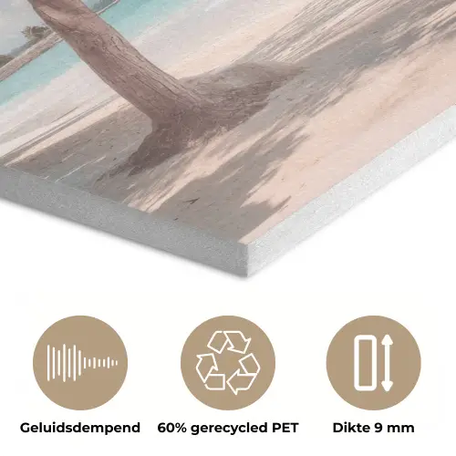 Palmboom - Schommel - Strand - Lucht PET vilt klein -closeup_NL