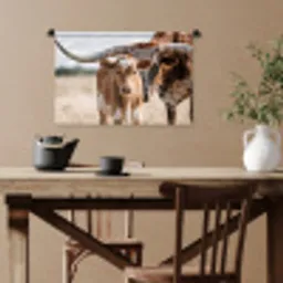 Texas Longhorn - Kalf - Weide - Dieren Wandkleed katoen klein -sfeer6