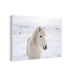 Paard - Kop - Winter - Dieren - Wit forex 5mm xxl -3d