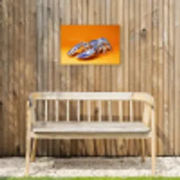 Kreeft - Delftsblauw - Schild - Stoer - Oranje Tuinposter op houten frame 2 cm dik klein -sfeer4