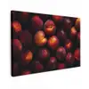 Fruit - Close up - Nectarines Tuinposter op houten frame 2 cm dik klein -3d