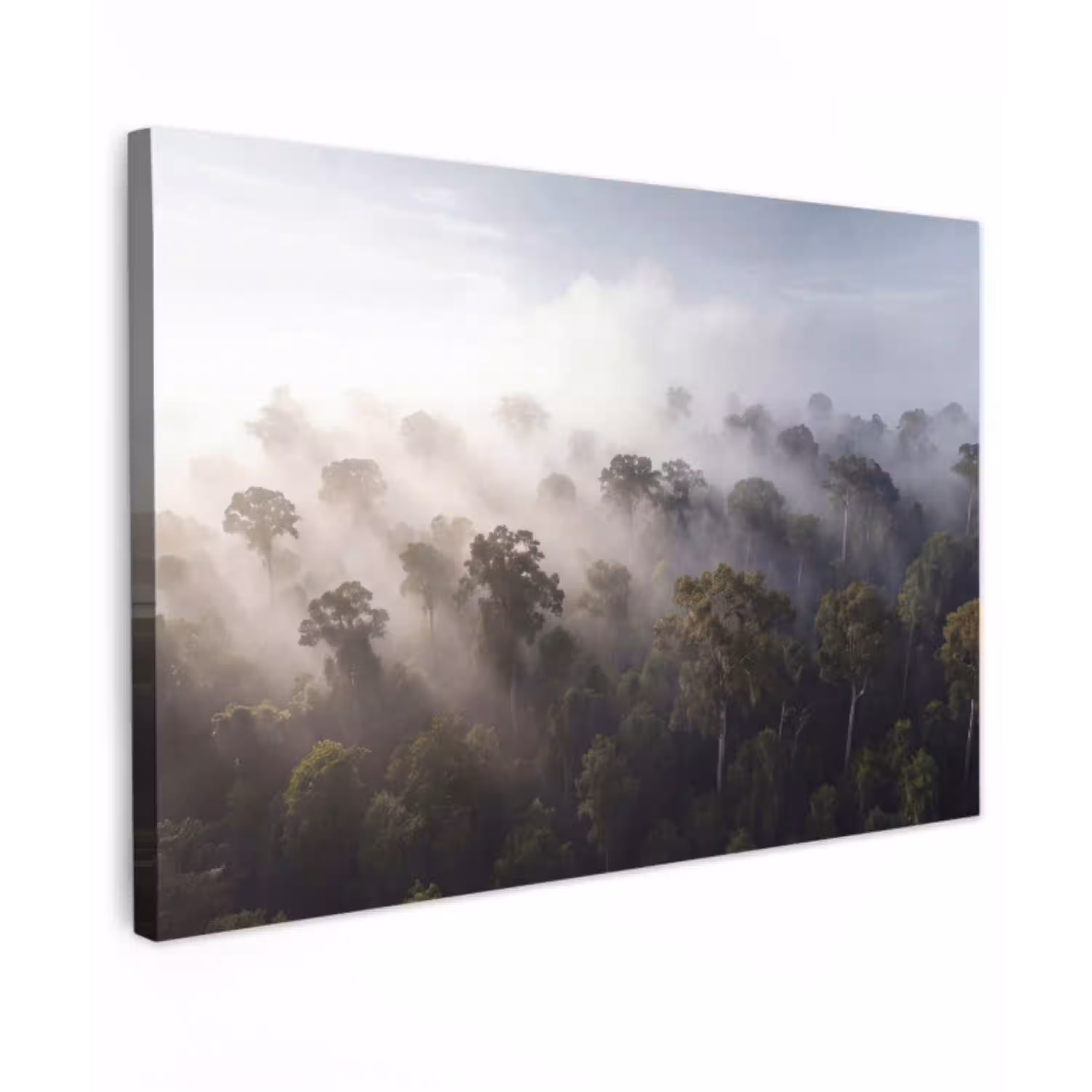 Bos - Mist - Natuur - Groen canvas 2cm klein -z3d