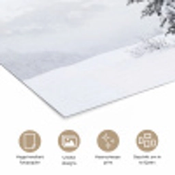 Fijnsparren - Sneeuw - Winter - Landschap - Stilte poster papier klein -closeup_NL