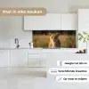 Leeuwin - Gras - Geel keuken achterwand 2 middel -sfeer4_NL