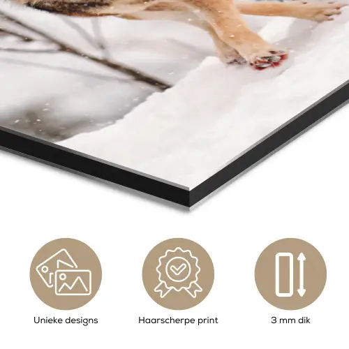 Wolf - Winter - Sneeuw - Natuur - Dieren aluminium wit klein -closeup_NL