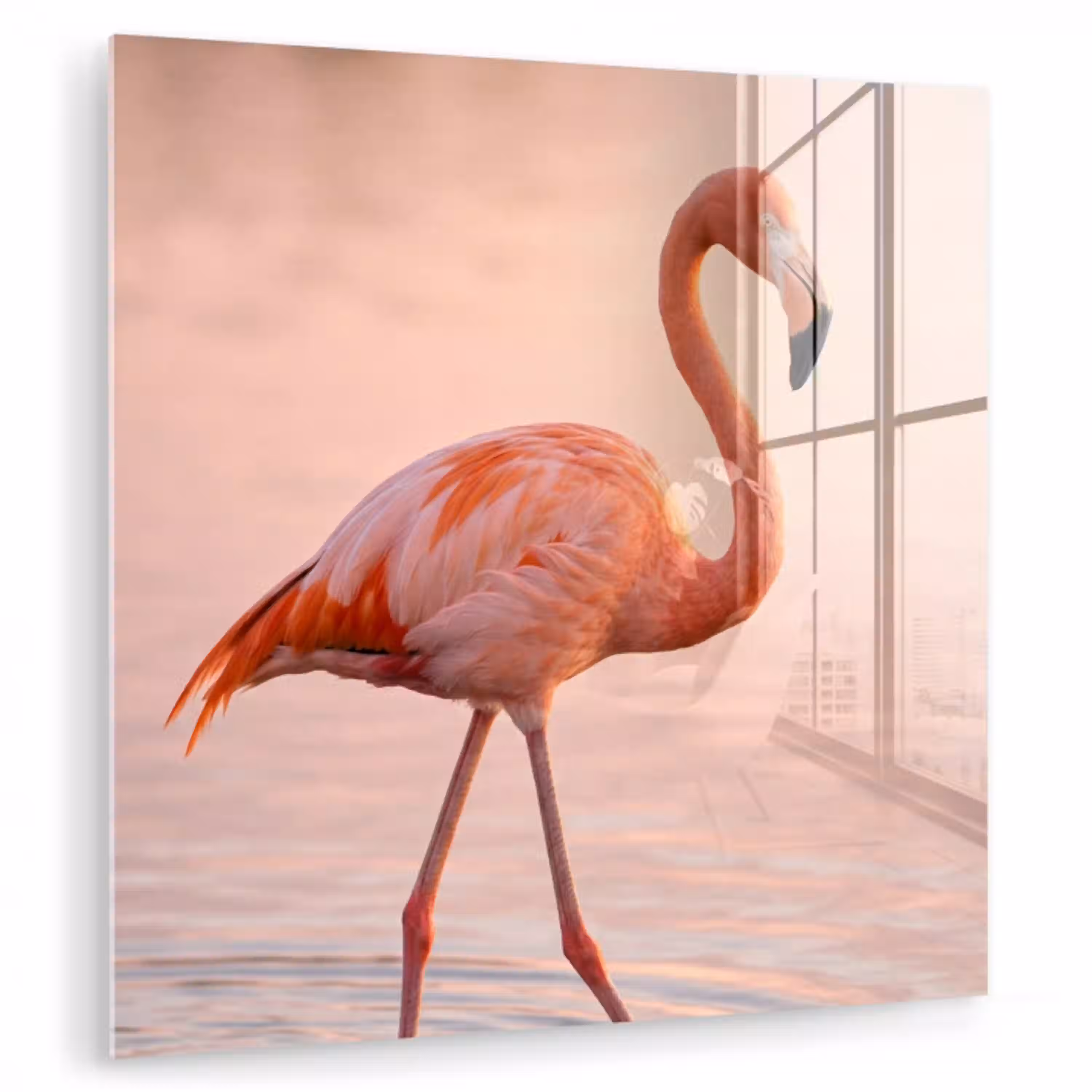 Flamingo - Water - Roze plexiglas 5mm klein -zzzproduct_nieuw
