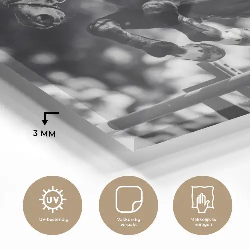 Springen - Paard - Zwart - Wit plexiglas 5mm klein -sfeer2