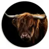 Schotse Hooglander - Horens - Zwart - Dieren - Natuur - Wild - Koe Wandcirkel kunststof plaat 5mm dik klein -3d