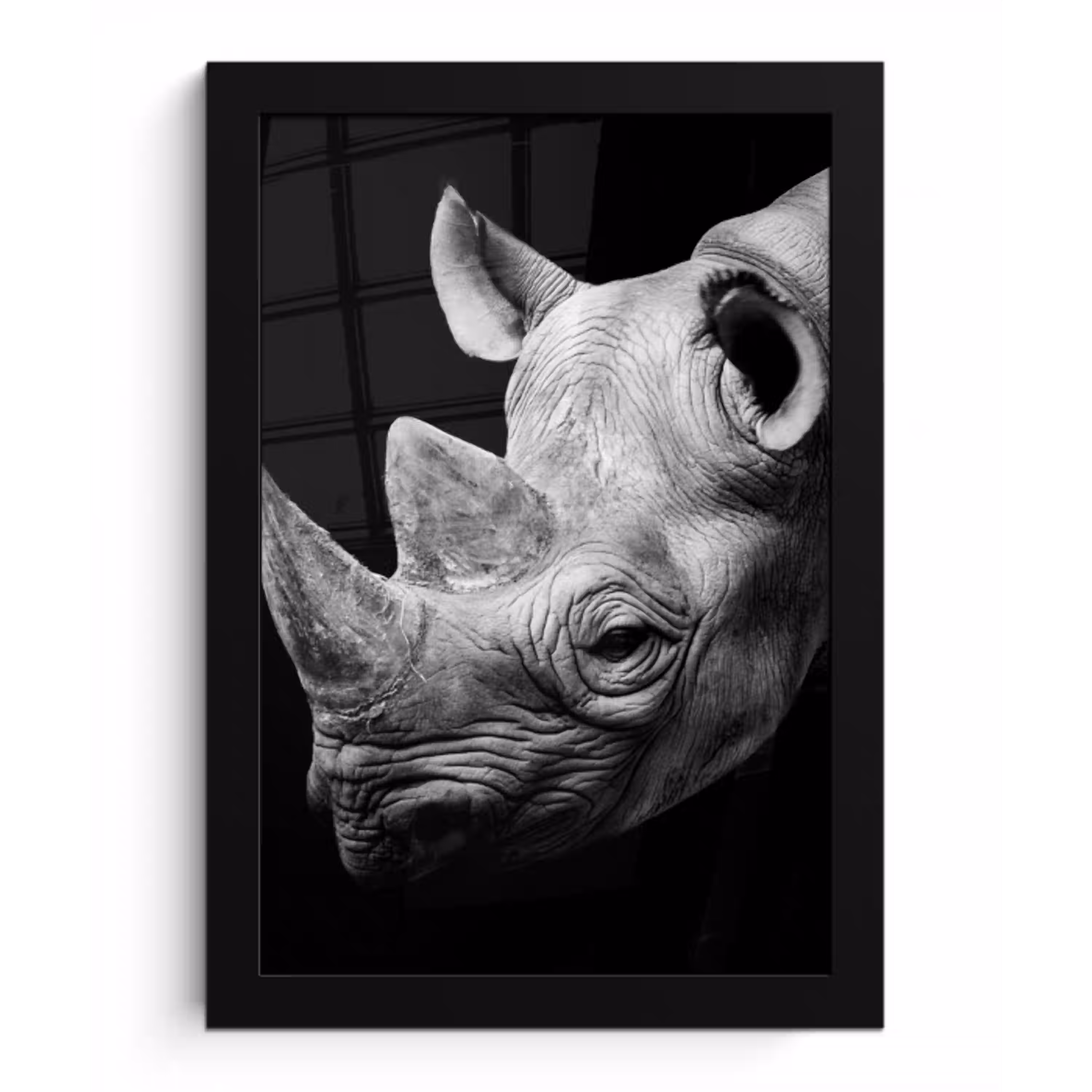 Dieren - Neushoorn - Zwart - Wit - Portret fotolijst zwart zonder passe partout klein -3d