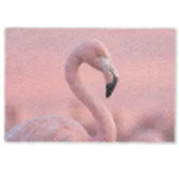 Flamingo - Portret - Roze Deurmat klein -zkaufland3d