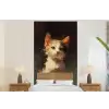 Kat - Geschilderd - Artistiek - Wit fotobehang vinyl groot -bed