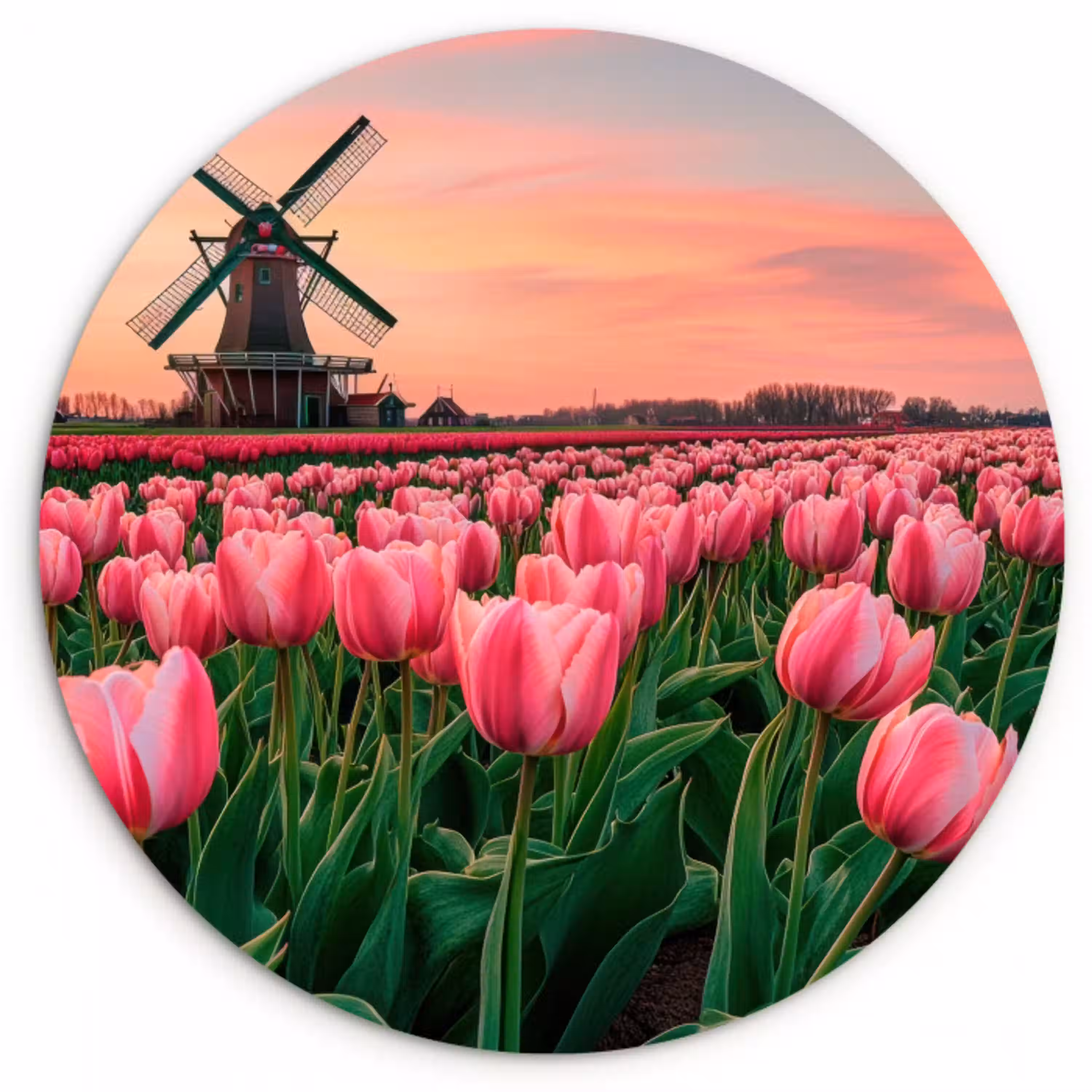 Tulpen - Molen - Nederland Wandcirkel plexiglas klein -3d