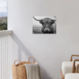 Schotse hooglander - Zwart - Wit - Gras tuinposter los doek klein -sfeer8
