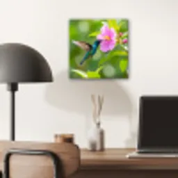 Kolibrie - Bloem - Natuur - Groen aluminium wit klein -sfeer5