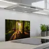 Zon - Bomen - Bos - Landschap - Natuur keuken achterwand spatscherm klein -3d_schuin