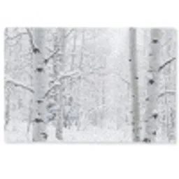 Berkenbomen - Sneeuw - Winter - Bos - Wit Deurmat klein -zkaufland3d