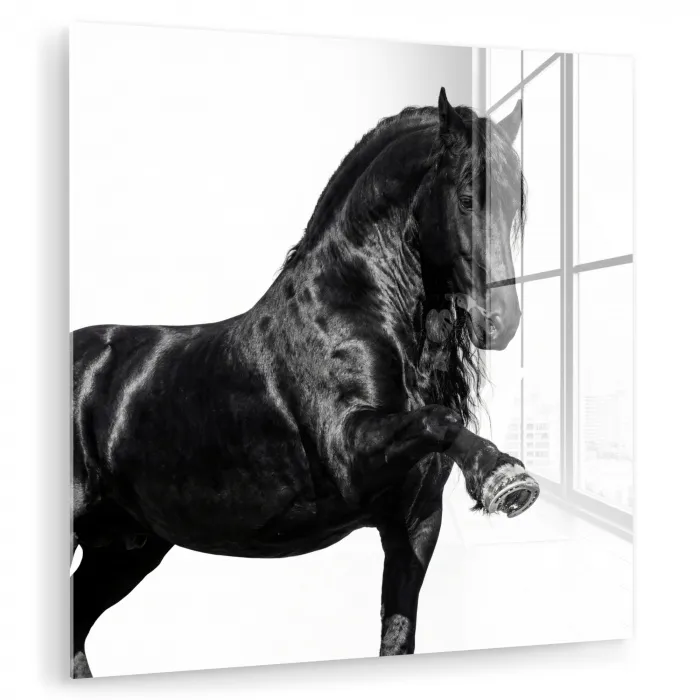 Fries - Hengst - Modern plexiglas 5mm klein -zzzproduct_nieuw