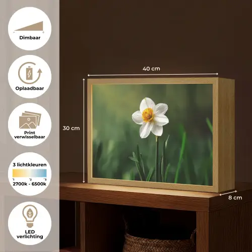 Narcis - Bloem - Wit - Grassprieten Light Box met batterij (Wandlamp) middel -USP_websiteoverzichtNL