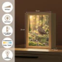 Houtsnip - Bos - Bladeren - Herfst - Gecamoufleerd Light Box met kabel (Kinderlampje) klein -USP_NL