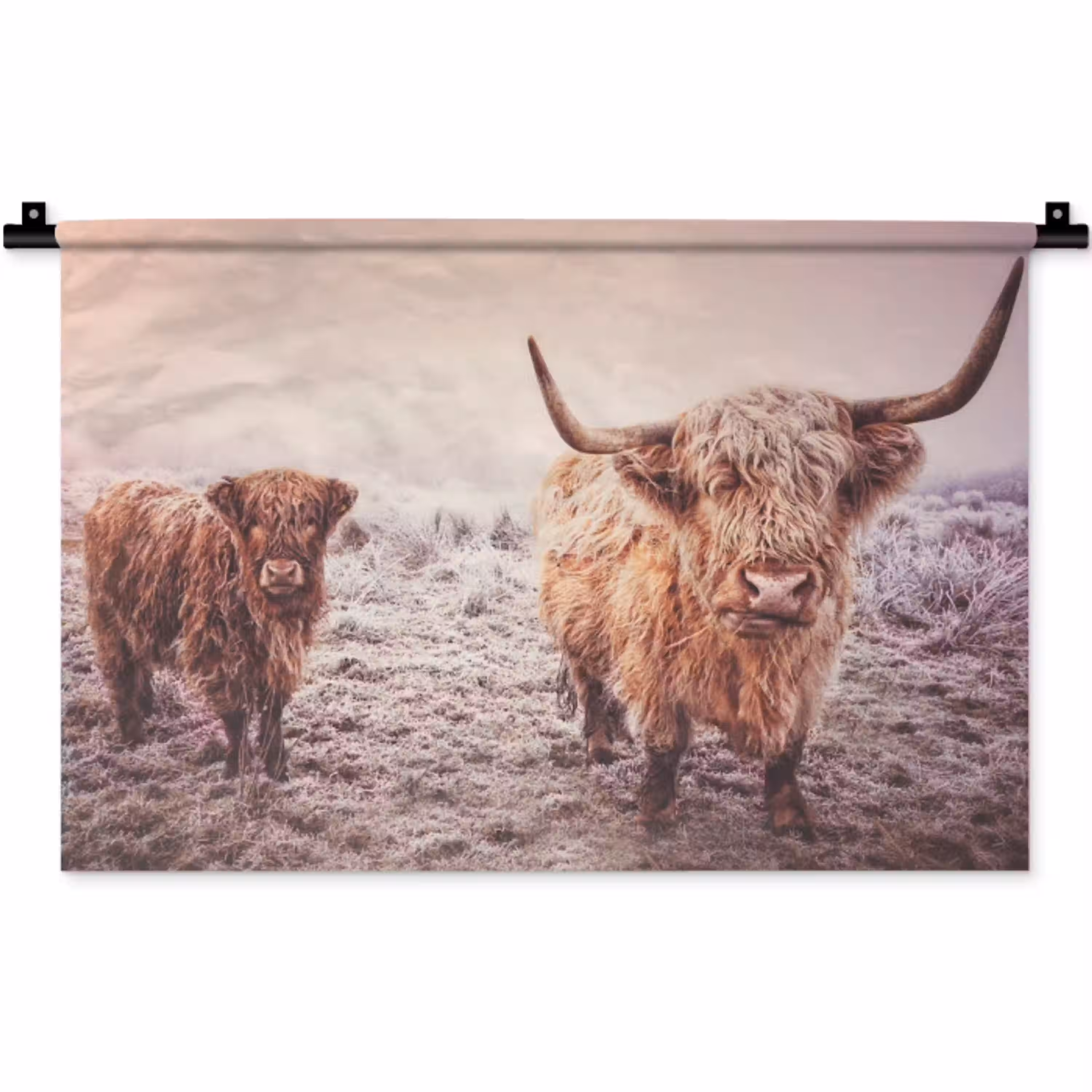 Schotse hooglanders - Licht - Lucht - Natuur Wandkleed katoen klein -zz3d
