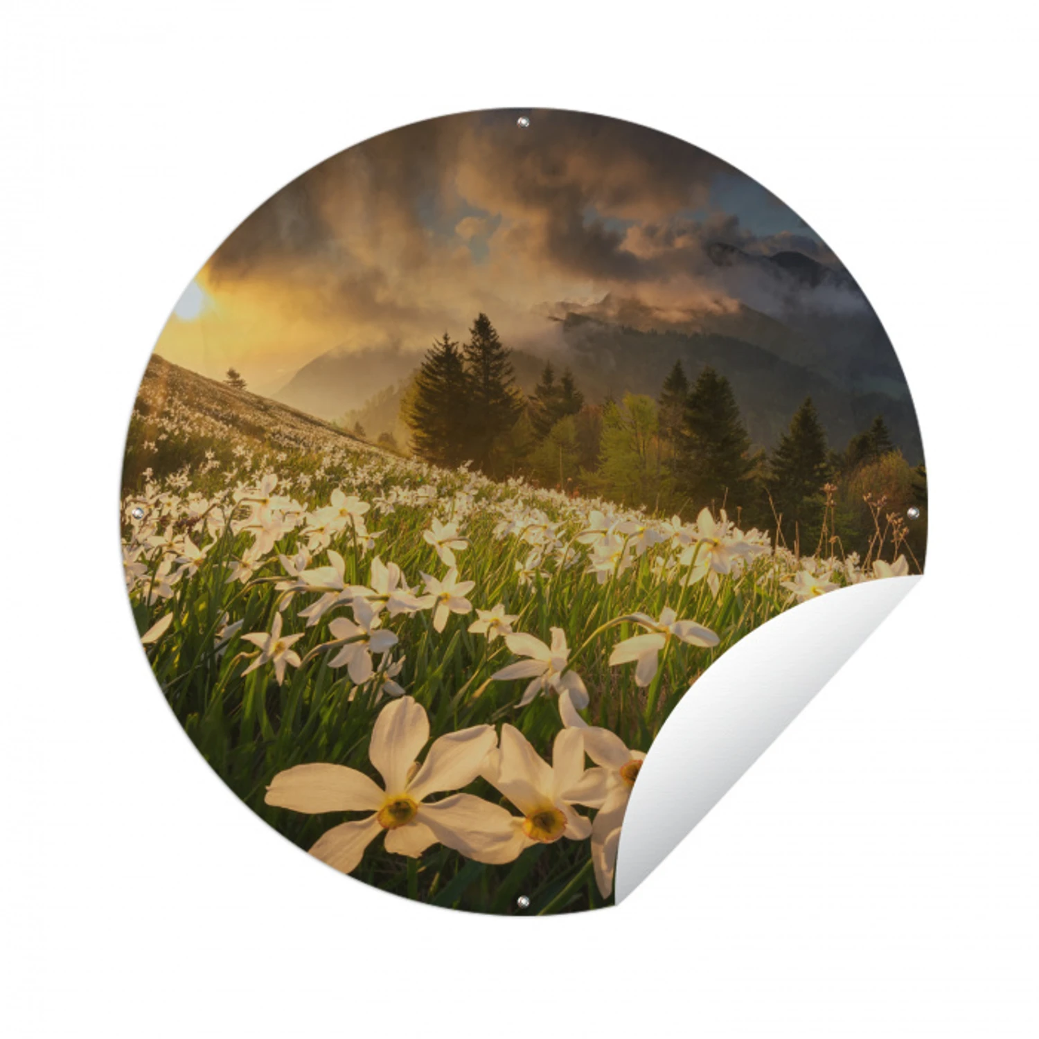 Bloemenveld - Heuvels - Zonsondergang - Berg - Natuur - Wit - Heuvels Wandcirkel tuinposter met ringen klein -3d