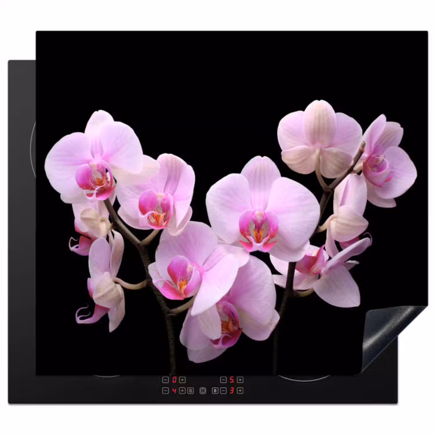Inductie beschermer - Orchidee - Bloemen - Roze - Flora