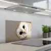 Uil - Bruin - Wit keuken achterwand spatscherm klein -3d_schuin