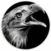 Adelaar - Portret - Roofvogels - Zwart - Wit - Vogel Wandcirkel kunststof plaat 5mm dik klein -3d