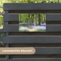 Lente bos met blauwe bloemen tuinposter los doek klein -sfeer3