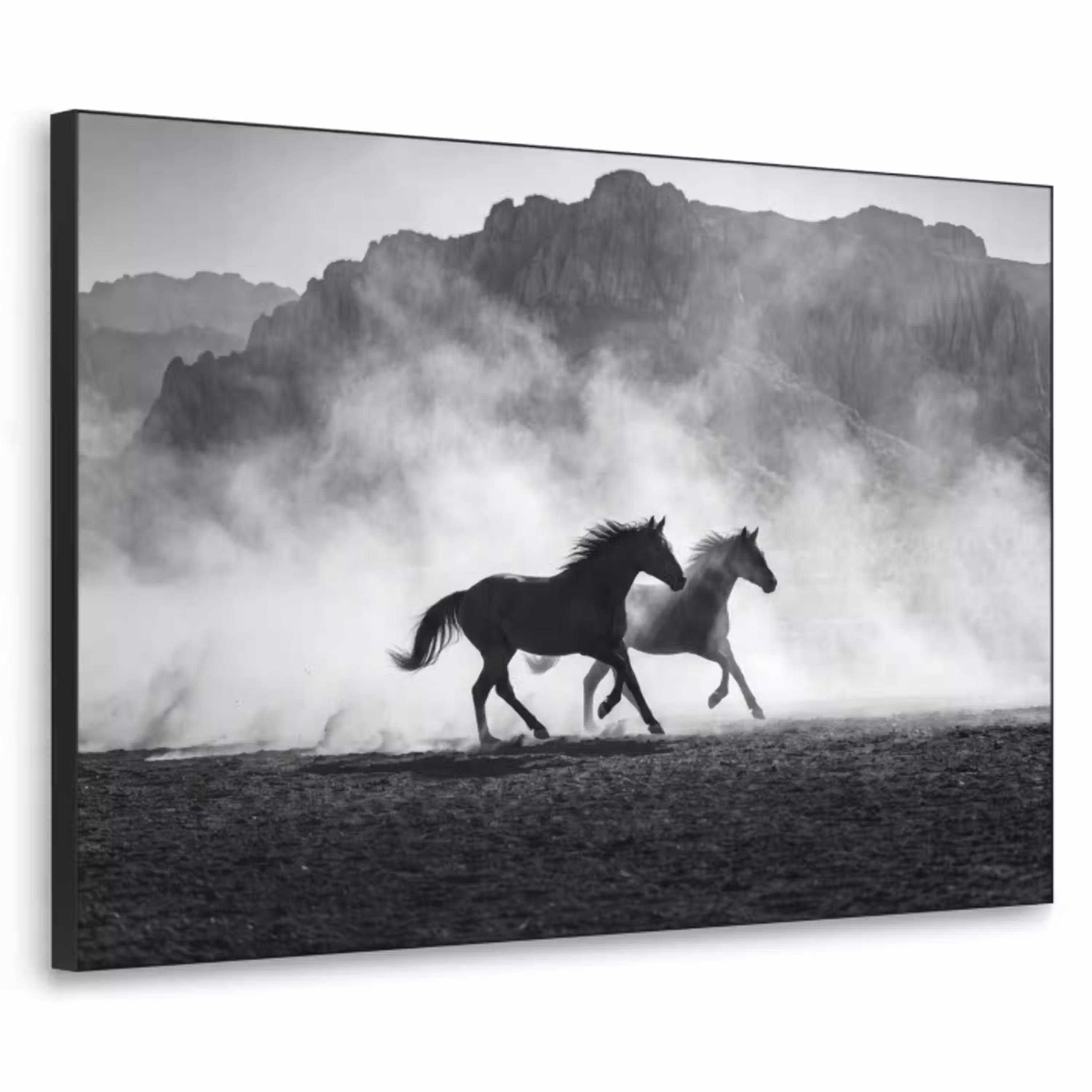 Paard - Ren - Stof - Zwart-wit - Dieren Textielframe zwart klein -3d