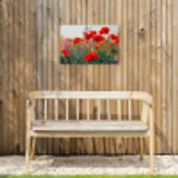 Klaproos - Bloemen - Rood - Paars - Weide Tuinposter op houten frame 2 cm dik klein -sfeer4
