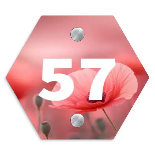 Klaproos  - Traditioneel Naambord Hexagon klein -3d