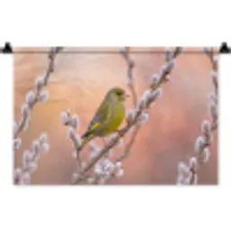 Groenling - Katjes - Lente - Natuur - Zacht Wandkleed katoen klein -zz3d