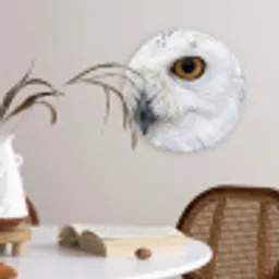 Sneeuwuil - Oog - Wildlife - Wit Wandcirkel kunststof plaat 5mm dik klein -sfeer4