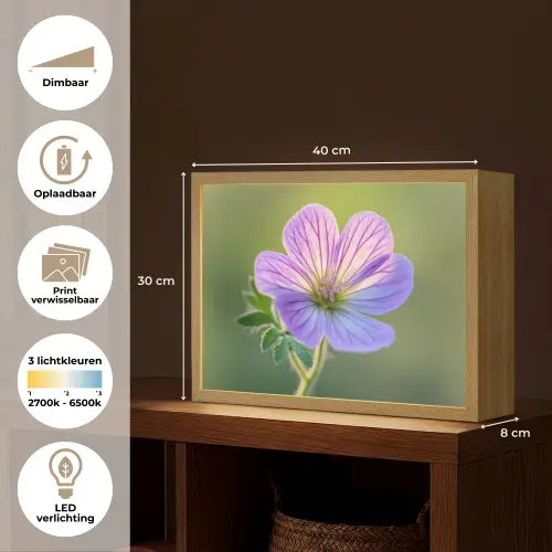 Bloem - Close up - Paars Light Box met batterij (Wandlamp) middel -USP_websiteoverzichtNL