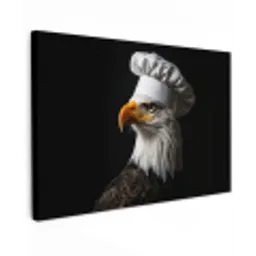 Arend -Amerika - Koksmuts - Vogel - Stoer Tuinposter op houten frame 2 cm dik klein -3d