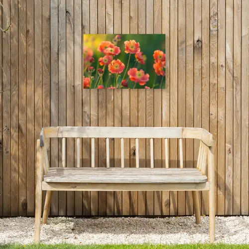 Bloemenveld - Zonnestralen - Oranje Tuinposter op houten frame 2 cm dik klein -sfeer4