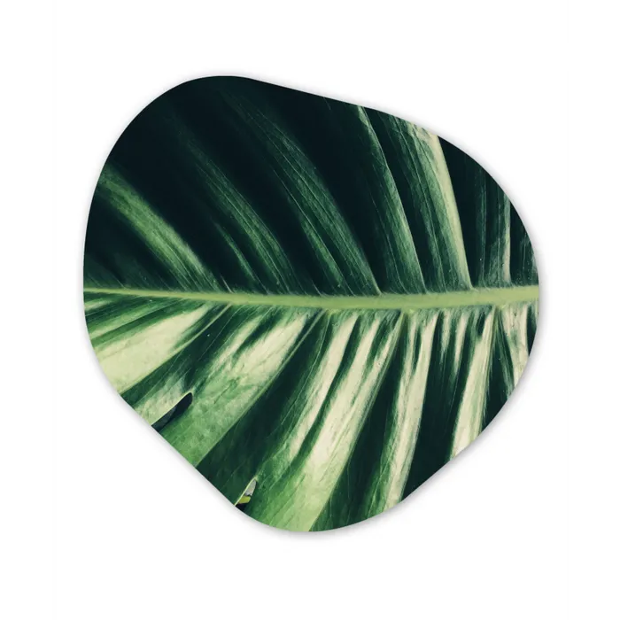 Bladeren - Tropisch - Jungle Wandcirkel Organisch Plexiglas middel -3d